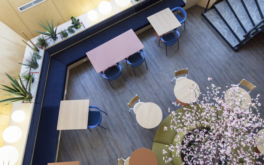 Aménagement open space - Mobilier écologique bio - bonkers